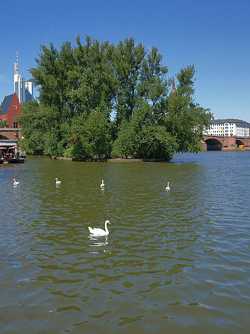 Foto Neuer Portikus am Main - Frankfurt am Main