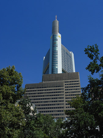 Foto Commerzbanktower mit Baum - Frankfurt am Main