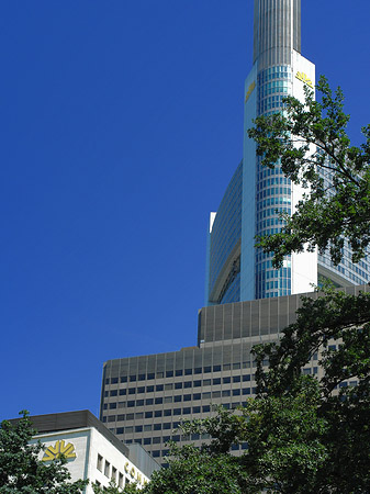 Foto Commerzbanktower mit Baum - Frankfurt am Main