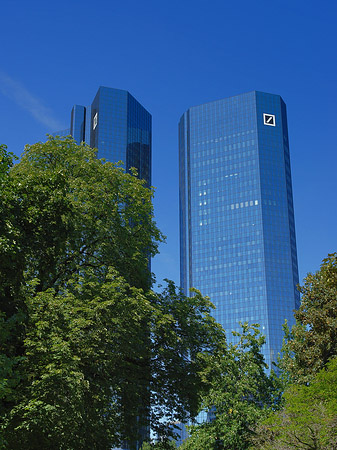 Foto Deutsche Bank mit Bäumen