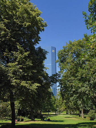 Foto Deutsche Bank mit Wald