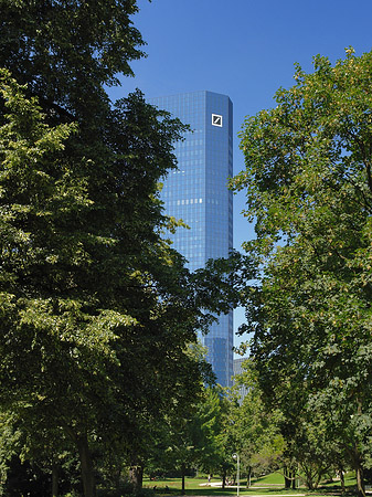 Foto Deutsche Bank mit Wald - Frankfurt am Main