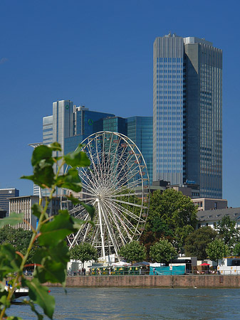 Foto Eurotower und dresdener Bank mit riesenrad