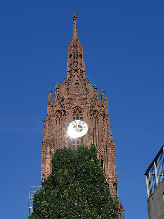 Foto Kaiserdom St. Bartholomäus mit Baum