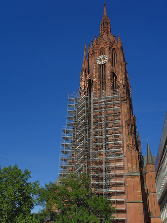 Kaiserdom St. Bartholomäus mit Baum Foto 