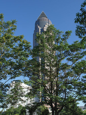 Messeturm versteckt hinter Bäumen Foto 