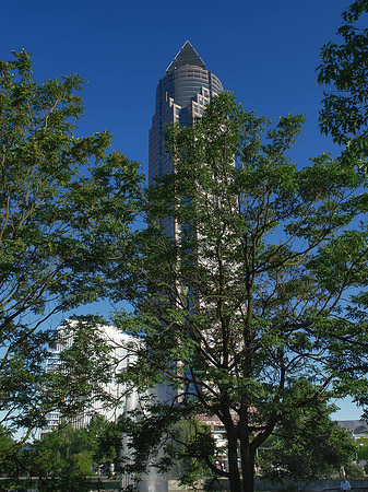 Foto Messeturm versteckt hinter Bäumen - Frankfurt am Main