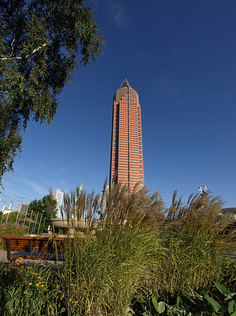 Messeturm auf Wiese Foto 