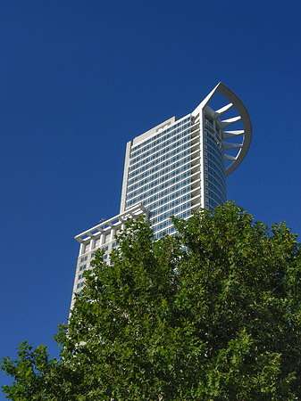 Foto Westendtower mit Baum - Frankfurt am Main