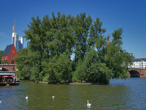 Foto Neuer Portikus am Main - Frankfurt am Main