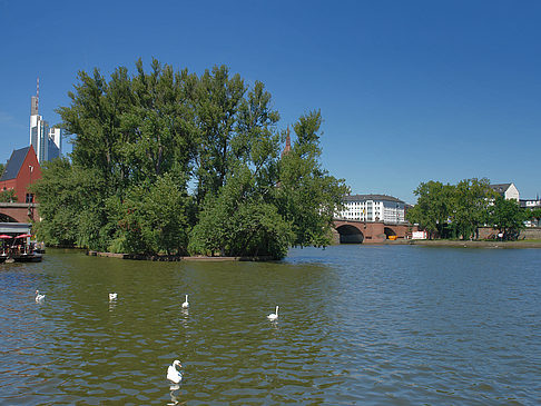 Fotos Neuer Portikus am Main | Frankfurt am Main