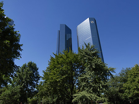 Foto Deutsche Bank mit Bäumen - Frankfurt am Main