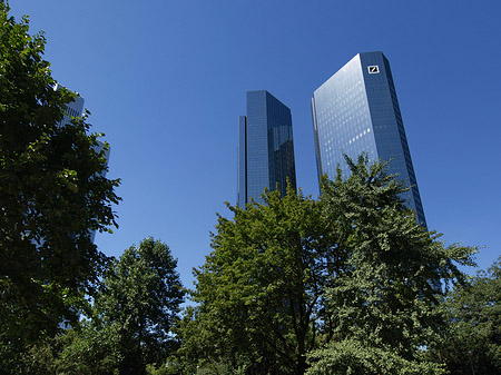 Fotos Deutsche Bank mit Bäumen | Frankfurt am Main