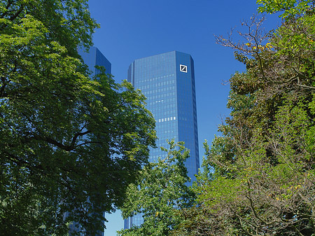 Fotos Deutsche Bank mit Bäumen