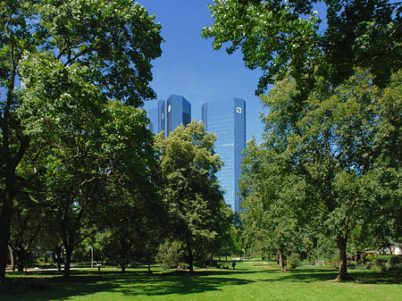 Deutsche Bank mit Wald Fotos