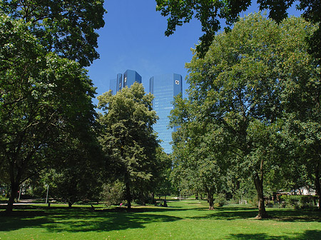 Foto Deutsche Bank mit Wald - Frankfurt am Main