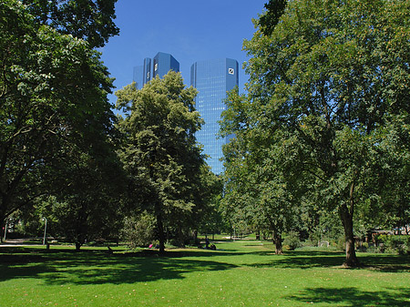 Deutsche Bank mit Wald