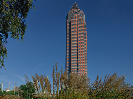 Fotos Messeturm mit Wiese | Frankfurt am Main