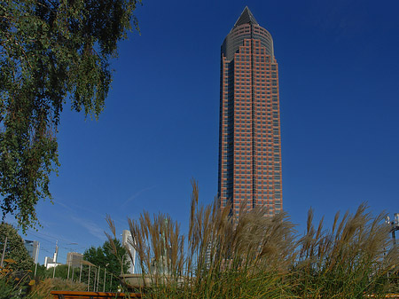 Fotos Messeturm mit Wiese