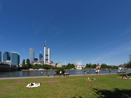 Skyline von Frankfurt mit Sachsenhausener Ufer Fotos